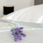 Spalato Dream Apartmants *