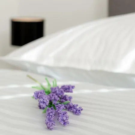 Dream Apartmants *