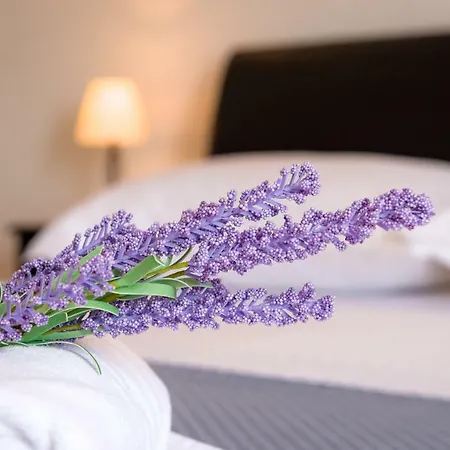 Appartement Dream Apartmants Split